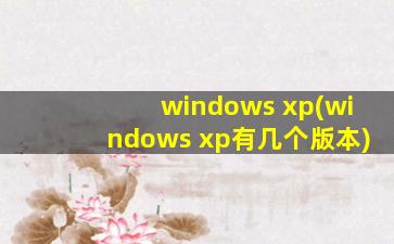 windows xp(windows xp有几个版本)